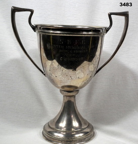 Australian rules football best and fairest trophy.