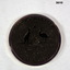 Medallion commemorating operation slipper.