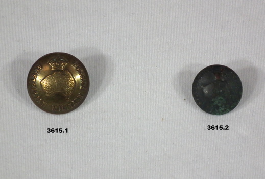 Large and small Army uniform buttons.
