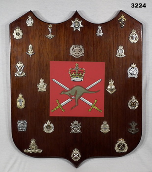 Shield with unit badges mounted around.
