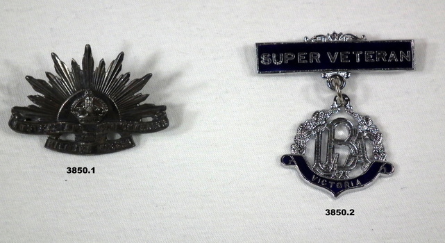 Two badges one military, one civilian.
