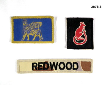 Three shoulder patches one being a name