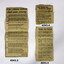 Sections of Newspapers collected in WW2