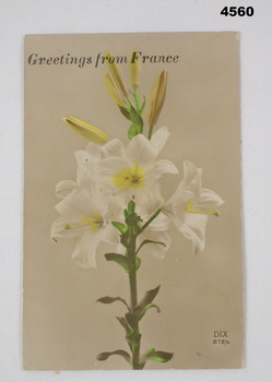Coloured postcard from France 1917