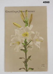 Coloured postcard from France 1917