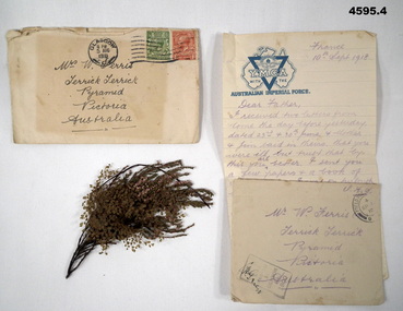 Letters, envelopes and pressed plant WW1