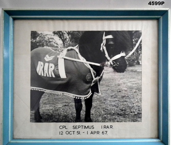 Framed photo of a pony mascot