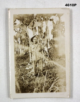 Photo of Australian soldier in jungle setting