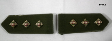 A pair of hard shoulder boards with Captains pips attached.