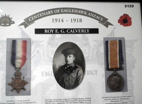 Framed story re Eaglehawk Soldiers WW1 - Roy E G Calvery