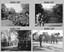 Military Skills Revision - Army Survey Regiment Regimental Training, Fortuna, Bendigo. 1985