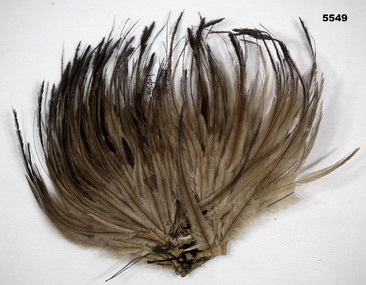 Emu feather plume for an Australian Light Horse slouch hat.