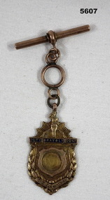 War service appreciation medallion from Bendigo 