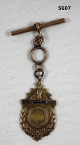 War service appreciation medallion from Bendigo 