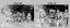 Regimental Training -  Lithographic Squadron Army Survey Regiment, Fortuna, Bendigo. 1989.