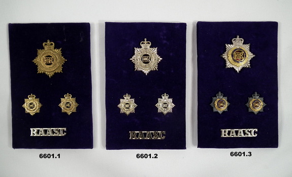 PBT Badges and shoulder badge RAASC.