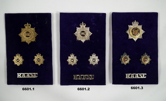 PBT Badges and shoulder badge RAASC.