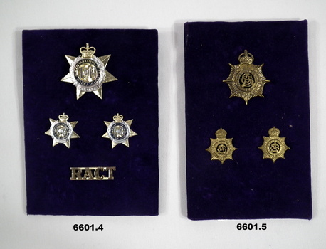 PBT Badges and shoulder badge RAASC.