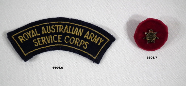 PBT Badges and shoulder badge RAASC.