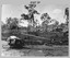 Bell 47G-2 helicopters used in Royal Australian Survey Corps Field Operations. c1965.