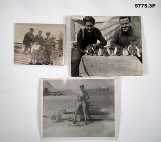 Three photographs of life in the Middle East.