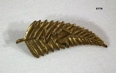 Small gold coloured badge with the letters "NZ".