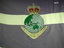 Original Survey Corps Flag  that flew at the Army Survey Regiment