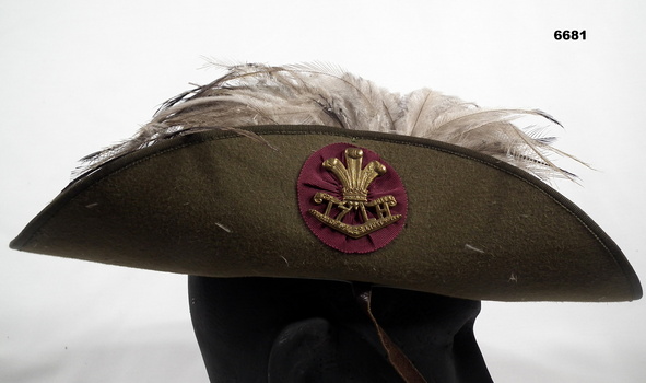Side view of Slouch hat with emu feathers.