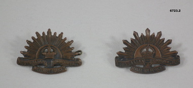 Two metal Rising Sun Badges.