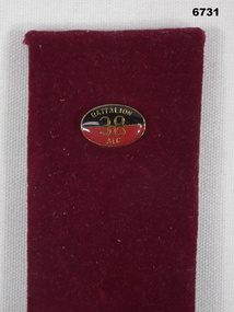 38th Battalion Association Badge.