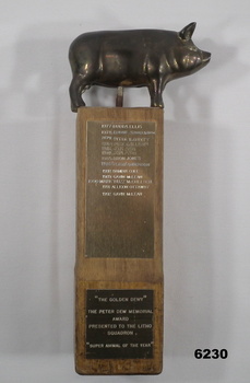 The perpetual trophy awarded to recipients of the Peter Dew Memorial Award "The Golden Dewy"