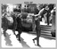 Commanding Officer Handover Parade - Army Survey Regiment, Bendigo. 1975.