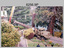 Californian Redwood Tree Sequoia Removal Army Survey Regiment, Fortuna, Bendigo, 1994.