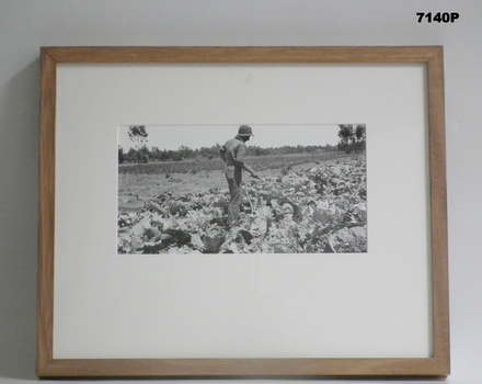 Framed photograph WW1 "Camera on the Somme".