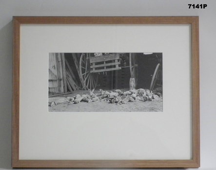 Framed photograph WW1 "Camera on the Somme".