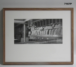 Framed photograph WW1 "Camera on the Somme".
