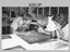 Open Day - Army Survey Regiment, Fortuna Villa, Bendigo, 1990. 