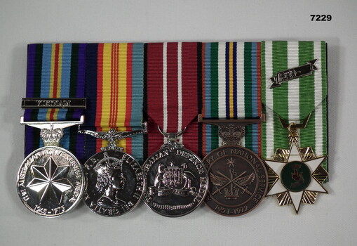 Replica medals set re Vietnam/national service.