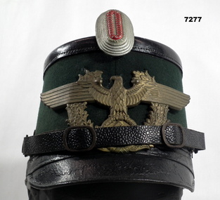 Hard peaked Police Hat.