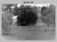 Lithographic Squadron’s Printing Building at the Army Survey Regiment, Fortuna, Bendigo, c1986.