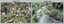 Aerial photos of the Army Survey Regiment, Army Survey Regiment, Fortuna, Bendigo, 1991.