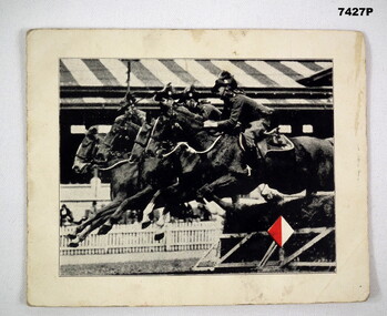 Photograph of horses in a Jumps race.
