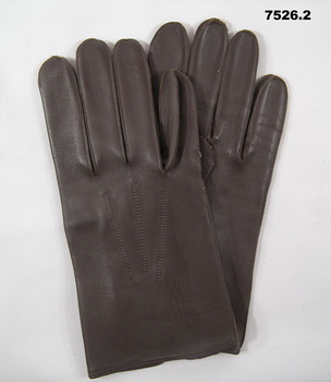 One pair of soft brown leather gloves.