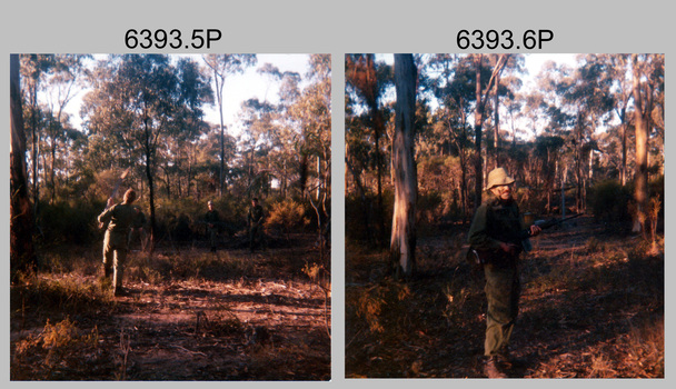 Regimental Training Military Skills Revision at Wellsford Forest and Army Survey Regiment, Fortuna Villa, Bendigo, 1986.