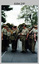 Corps Day Parade, Army Survey Regiment, Fortuna Villa, Bendigo. 1st July 1995.