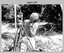 RASvy personnel undertaking topographic surveys in New Guinea, 1956-1957. 