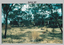 RASvy personnel undertaking topographic surveys in Northern Territory in 1959. 