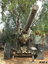 Photograph of a 5.5 inch breech loading gun.