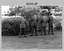 Defence Force Service Medal Presentations - Army Survey Regiment, Fortuna Villa, Bendigo. 1979.
