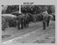 Defence Force Service Medal Presentations - Army Survey Regiment, Fortuna Villa, Bendigo. 1979.